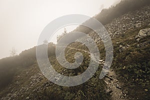 Mountain tourist trail in autumn covered in mist - soft vintage