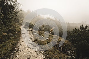 Mountain tourist trail in autumn covered in mist - soft vintage