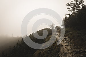 Mountain tourist trail in autumn covered in mist - soft vintage