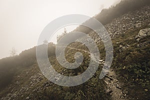 Mountain tourist trail in autumn covered in mist - soft vintage