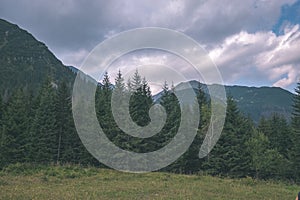 Panoráma hôr Západných Karpát so zelenými poliami a lesmi v popredí. leto na Slovensku turistické chodníky - vinobranie