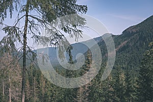 Western carpathian Tatra mountain skyline with green fields and forests in foreground. summer in Slovakian hiking trails - vintage