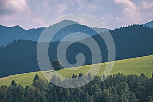 Western carpathian Tatra mountain skyline with green fields and forests in foreground. summer in Slovakian hiking trails - vintage