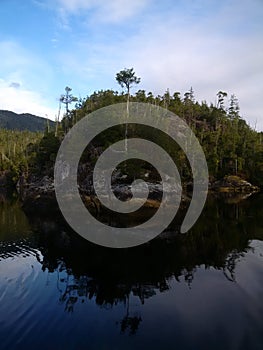 Western coast of Canada at Tofino