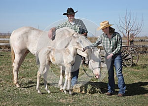 Western couple outside with white horse and foal