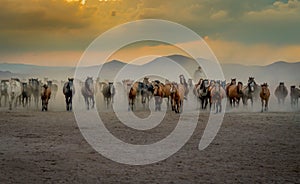 Western cowboy riding horses with in cloud of dust in the sunset