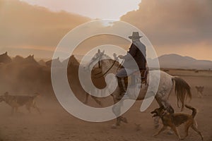 Western cowboy riding horses with dog in cloud of dust in the sunset