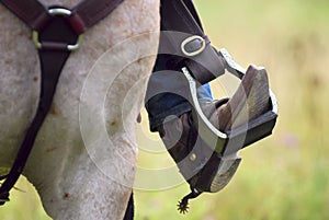 Western cowboy's boot, spur, & horse