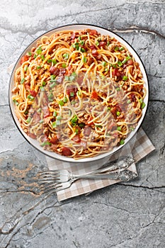 Western Cowboy Spaghetti with the addition of Ground beef, bacon, cheddar cheese, onion and hot sauce closeup on the plate.