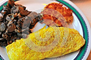 Western egg omelet