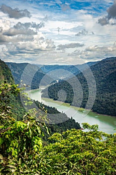 Western ghat amazing dense greenery with leading river