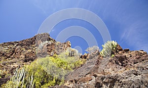 Western Gran Canaria, May