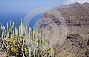 Western Gran Canaria, May