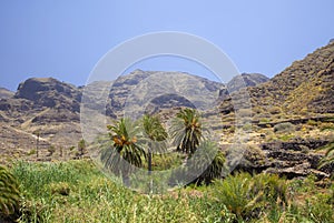 Western Gran Canaria, May