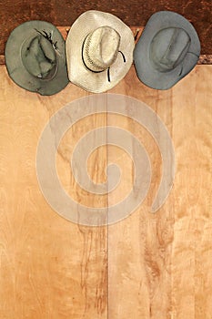 Western Hat Decor