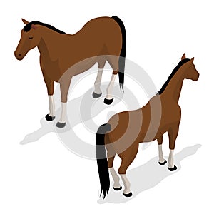 Western Horse with saddle and bridle. Isometric vector illustration