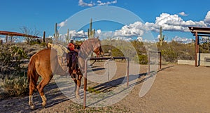 Western Horse Saddled Up With Southwest Background