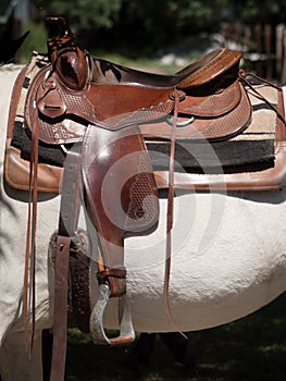 Western leather saddle on a white horse.