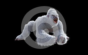 Western lowland gorilla with clipping path.