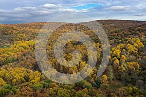 Western Maryland Mountain Forest