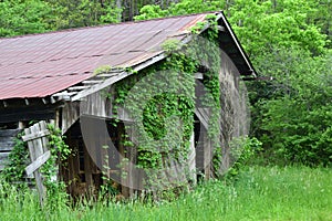 Western NC mountain old barn