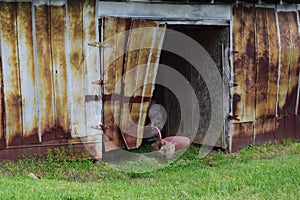 Western NC mountain rural fam barn with open door