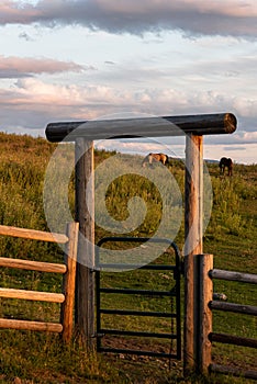 Western pasture scene with wood fence and log entryway with metal gate, evening light, horses, Eastern Washington state, USA