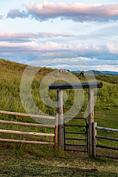 Western pasture scene with wood fence and log entryway with metal gate, evening light, horses, Eastern Washington state, USA