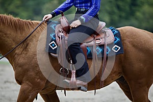 Western Reiner in Black and Blue