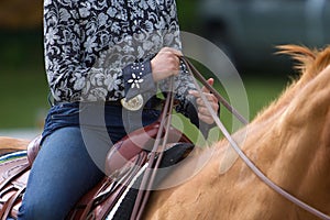 Western Rider in Festive, Floral, Navy Show Blouse.