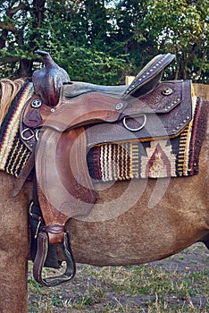 Western saddle for a horse