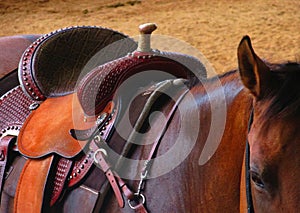 Western saddle on a horse photo