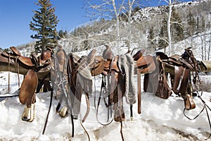 Western Saddles on a Rail