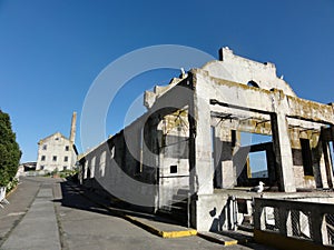 Western Seagulls rest on Old Buildings along path on Alcatraz