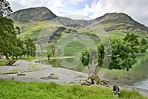 Western shore of Buttermere