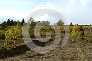 Western Siberia. Foothill landscape in the Charyshsky district of the Altai Territory