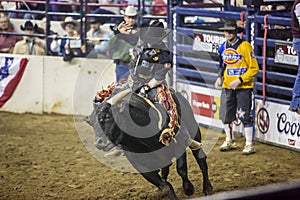 Western Stock Show in Denver.