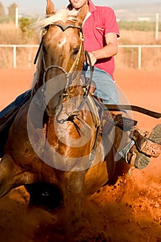 Western Style Horse Ride