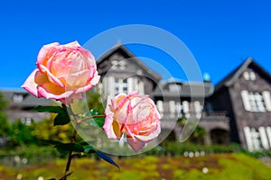 Western-style house and Rose in the Kyu-Furukawa Gardens, Tokyo