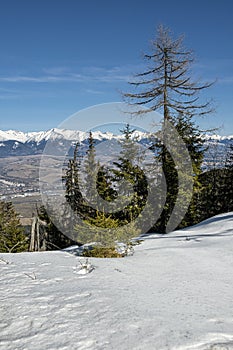 Západné Tatry a Liptovská kotlina z Nízkych Tatier, Slovensko