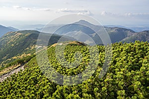 Západné Tatry na Slovensku. Oblasť Rakon