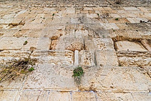 The Western Wailing Wall in Jerusalem, Israel
