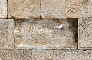 The Western wall photo