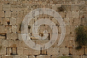 Western  Wall. Jerusalem