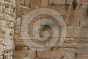 Western  Wall. Jerusalem