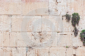 Western Wall in old town Jerusalem, Isreal