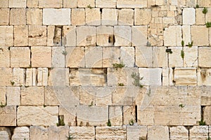 The Western wall or Wailing wall is the holiest place to Judaism in the old city of Jerusalem, Israel. photo