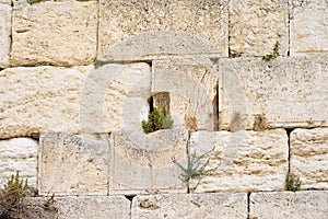 The Western wall or Wailing wall is the holiest place to Judaism in the old city of Jerusalem, Israel.