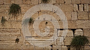 The Western wall or Wailing wall is the holiest place to Judaism in the old city of Jerusalem, Israel photo