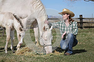 Western woman with white horse and foal